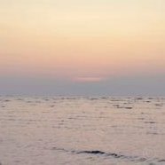 杨希加盟海港锋线引援未定前景如何