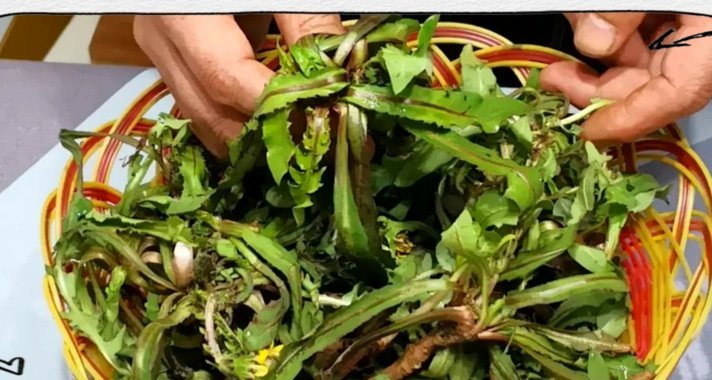 5战不胜 广州蒲公英输掉的不仅是比赛更是那口气