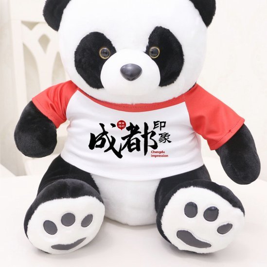 结束世界杯后哈兰德返回挪威，下飞机抱着一只浣熊毛绒玩偶